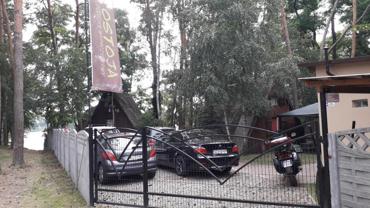 הוילה Ostoja Slesin מראה חיצוני תמונה